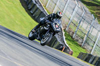 Oulton-Park-20th-March-2020;PJ-Motorsport-Photography-2020;anglesey;brands-hatch;cadwell-park;croft;donington-park;enduro-digital-images;event-digital-images;eventdigitalimages;mallory;no-limits;oulton-park;peter-wileman-photography;racing-digital-images;silverstone;snetterton;trackday-digital-images;trackday-photos;vmcc-banbury-run;welsh-2-day-enduro